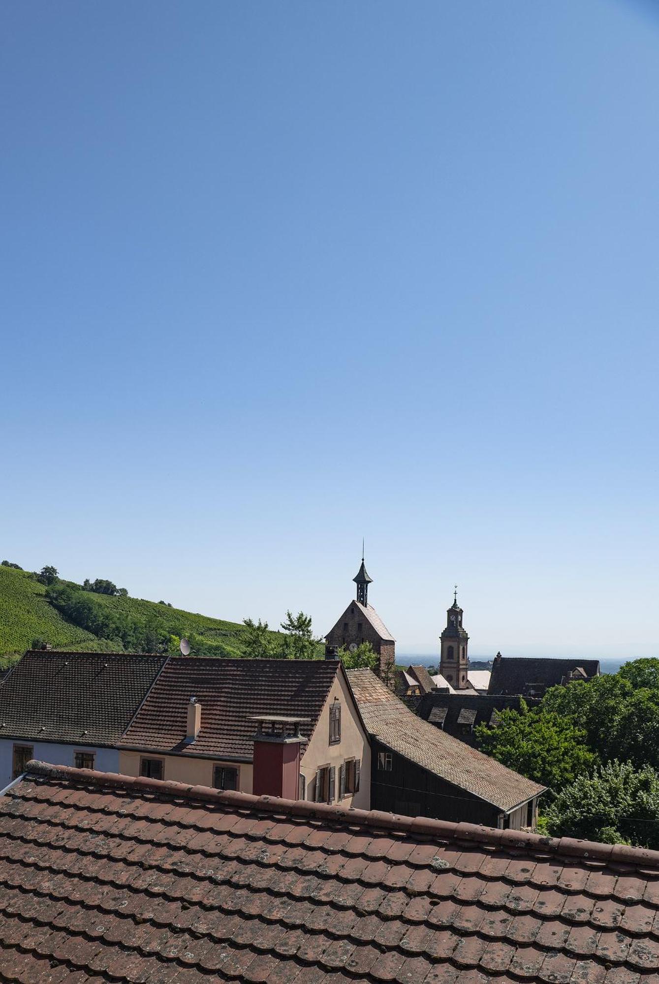 Riesling - Vue Imprenable Sur Le Vignoble - Renove Recemment - Parking Gratuit Lägenhet Riquewihr Exteriör bild