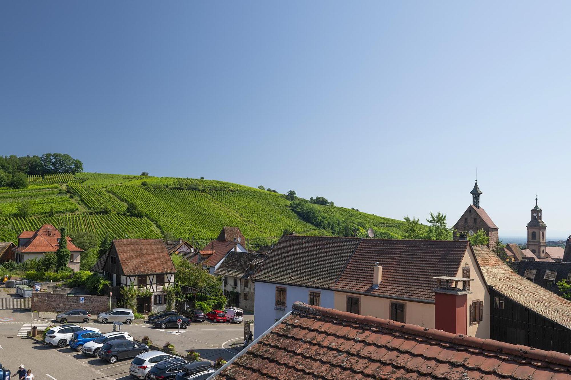 Riesling - Vue Imprenable Sur Le Vignoble - Renove Recemment - Parking Gratuit Lägenhet Riquewihr Exteriör bild