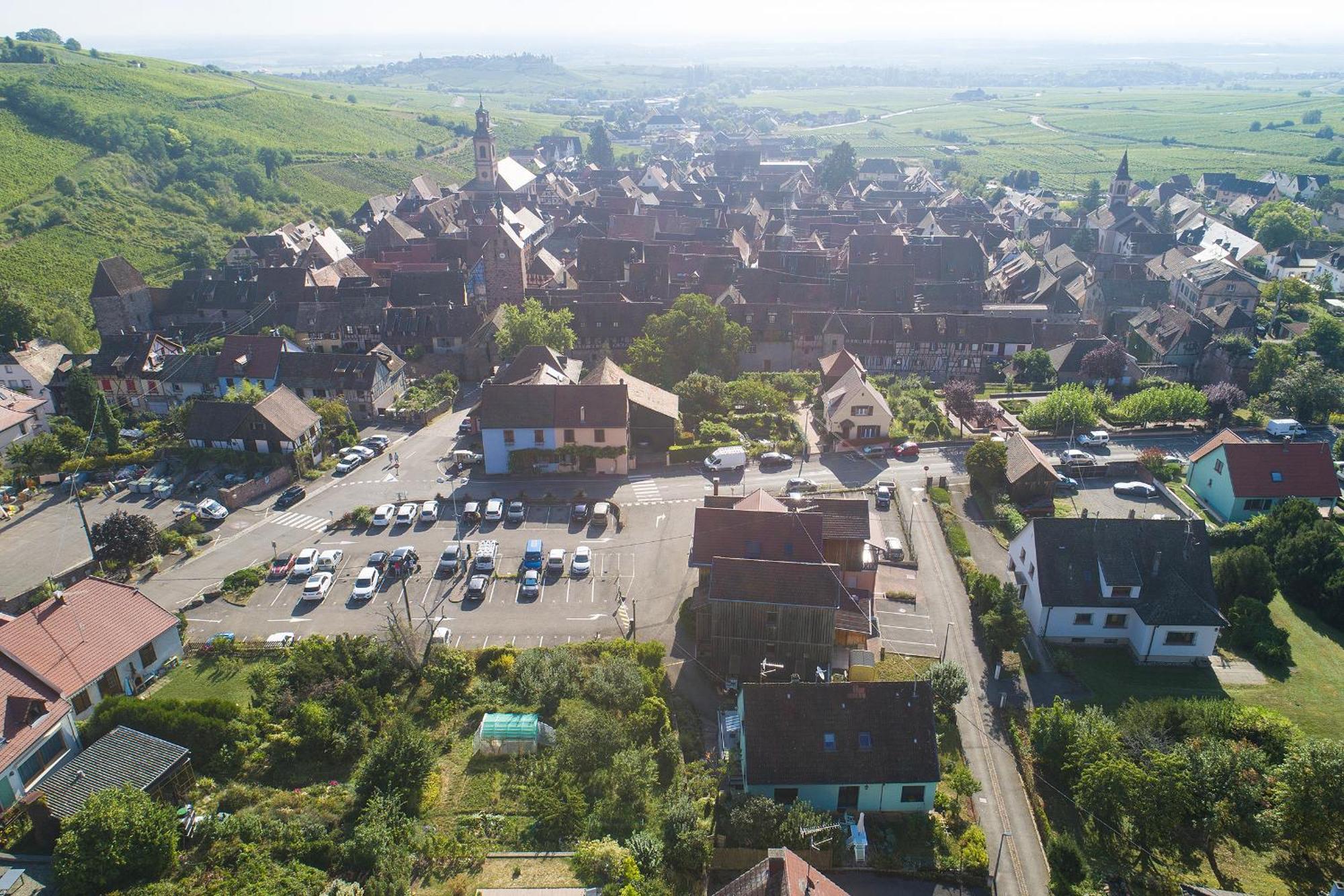 Riesling - Vue Imprenable Sur Le Vignoble - Renove Recemment - Parking Gratuit Lägenhet Riquewihr Exteriör bild